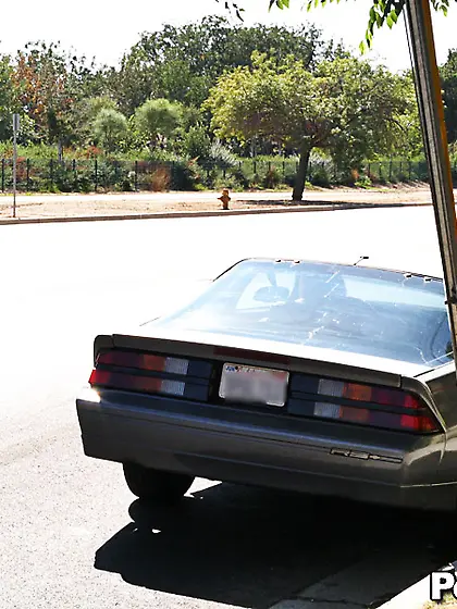 Redhead lady gats captured