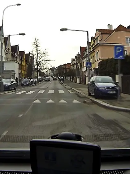 Wild brunette doll black