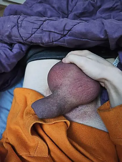 Twink cock and balls swollen after a long ballbust