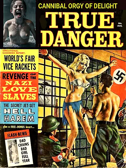 Nazi Pulp Magazine Covers
