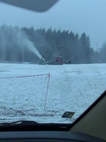 Blond-haired slut with a ponytail gets banged in the backseat