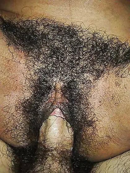 Fledgling Damsels From The Dominican Republic