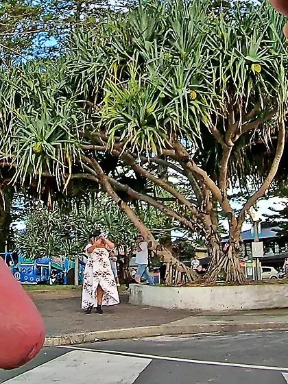 WNBR Byron Bay public erection happy flashing