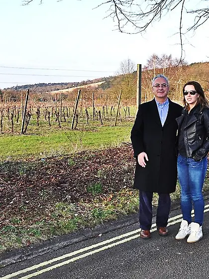 Cute slut strips reveal