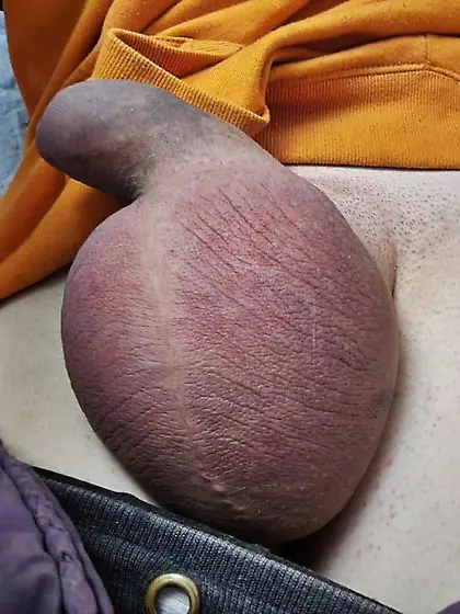 Twink cock and balls swollen after a long ballbust