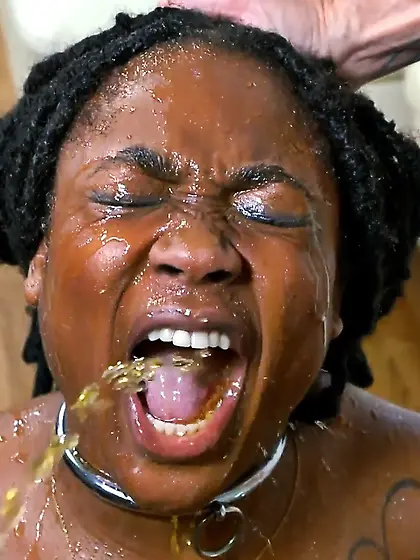 le paradis noir,  the black paradise40