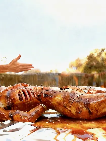 Marinated spit photos