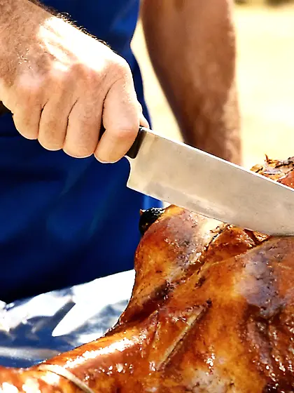 Marinated spit photos