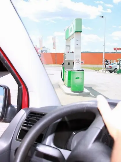 Ellis and Jasmine A eighteen