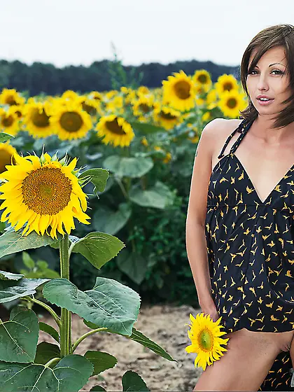Natural beauty Anya L poses naked in the field of sunflowers exp