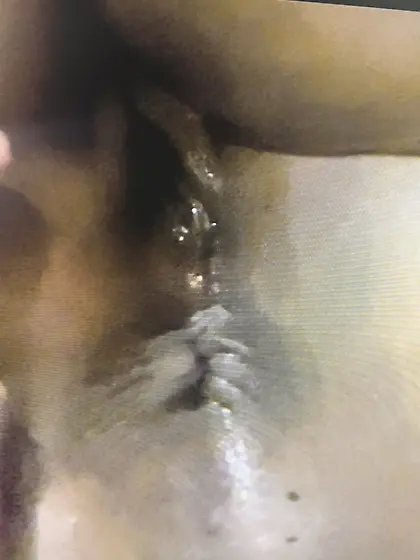 The weird bunch dump