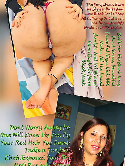 Indian punjabi aunty the dumb whore
