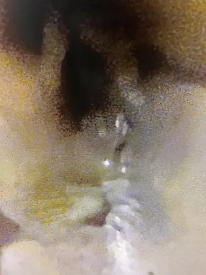 The weird bunch dump