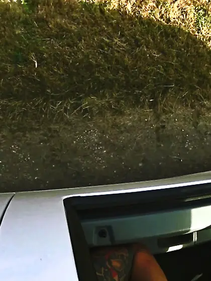 Hot teen hitchhiker falls