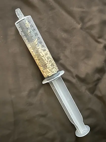 250 maggots about to be put away…